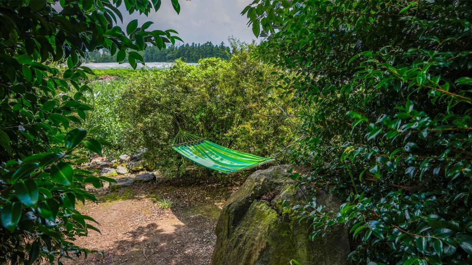 Jeju Eco Suites Seogwipo Eksteriør bilde