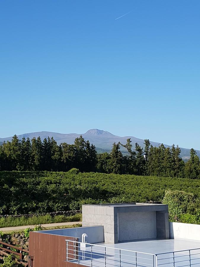 Jeju Eco Suites Seogwipo Eksteriør bilde