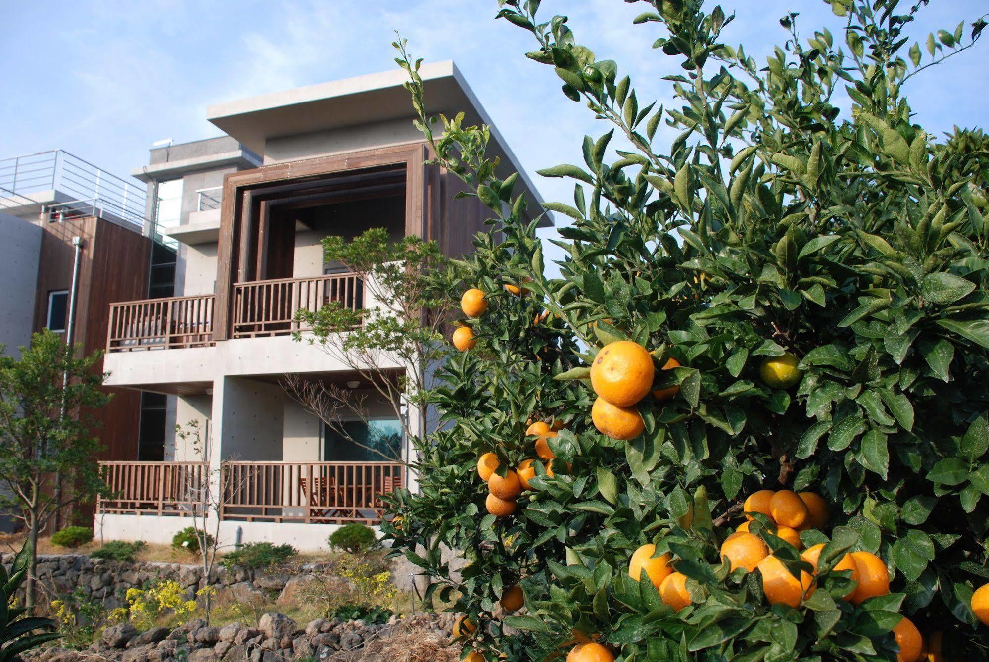 Jeju Eco Suites Seogwipo Eksteriør bilde